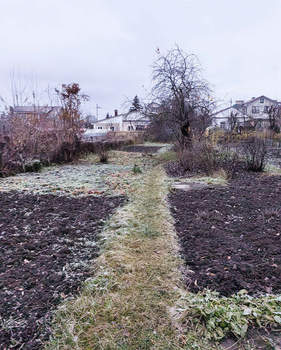 Дом 78м², 1-этажный, участок 8 сот.