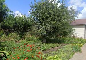 Дом 36м², 2-этажный, участок 6 сот.