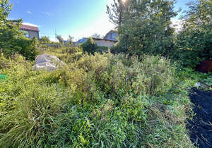 Дом 95м², 1-этажный, участок 4 сот.