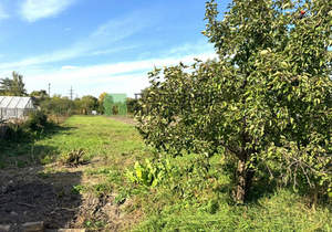 Дом 54м², 1-этажный, участок 12 сот.