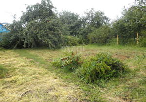 Дом 77м², 1-этажный, участок 8 сот.