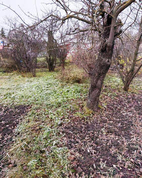 Дом 78м², 1-этажный, участок 8 сот.