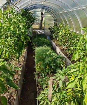 Дом 15м², 1-этажный, участок 6 сот.