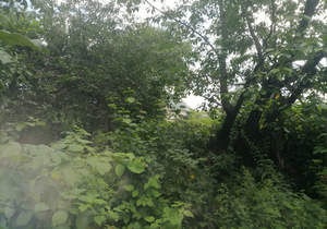 Дом 48м², 2-этажный, участок 6 сот.