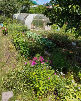 Дом 15м², 1-этажный, участок 6 сот.