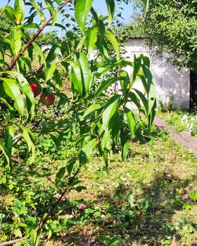 Дом 40м², 2-этажный, участок 4 сот.  