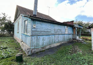 Дом 50м&sup2;, 1-этажный, участок 7 сот.  