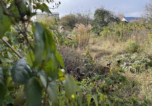 Дом 76м&sup2;, 1-этажный, участок 9 сот.  