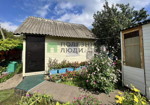 Дом 25м&sup2;, 1-этажный, участок 4 сот.  