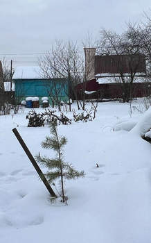 Дом 20м&sup2;, 1-этажный, участок 5 сот.  