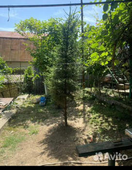 Дом 84м&sup2;, 3-этажный, участок 5 сот.  