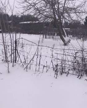 Дом 20м&sup2;, 2-этажный, участок 700 сот.  