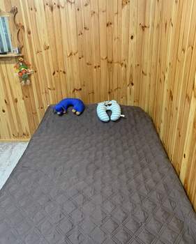 Дом 30м&sup2;, 1-этажный, участок 6 сот.  