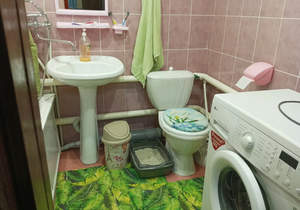 Дом 55м&sup2;, 1-этажный, участок 4 сот.  