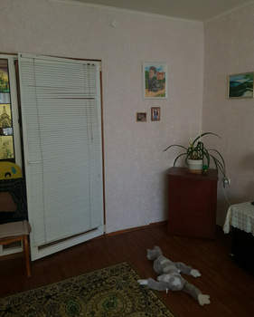 Дом 108м&sup2;, 1-этажный, участок 10 сот.  