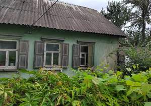 Дом 38м&sup2;, 1-этажный, участок 3 сот.  