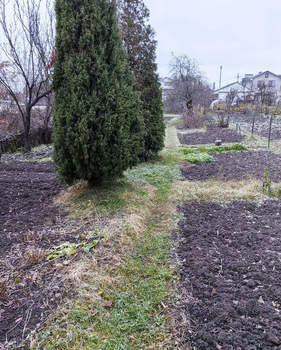 Дом 78м&sup2;, 1-этажный, участок 8 сот.  