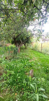 Дом 20м², 1-этажный, участок 704 сот.  