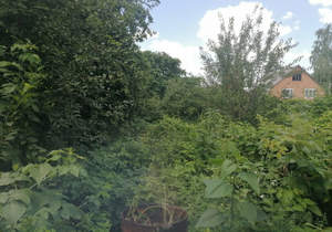 Дом 48м², 2-этажный, участок 6 сот.  