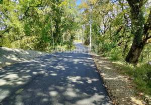 Дом 105м&sup2;, 1-этажный, участок 5 сот.  