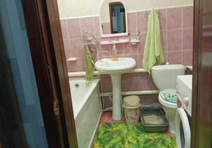 Дом 55м&sup2;, 1-этажный, участок 4 сот.  