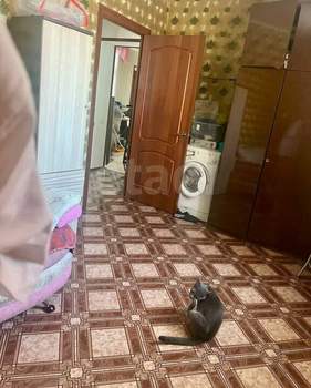 Дом 99м², 1-этажный, участок 6 сот.  