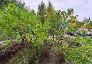 3-к квартира, вторичка, 66м2, 1/10 этаж