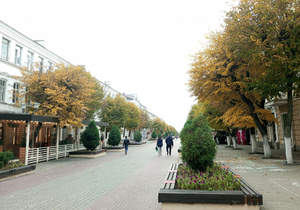 3-к квартира, вторичка, 55м2, 1/3 этаж