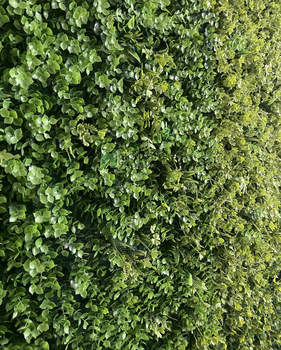 2-к квартира, вторичка, 54м2, 1/2 этаж