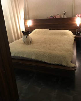 2-к квартира, вторичка, 60м2, 8/10 этаж