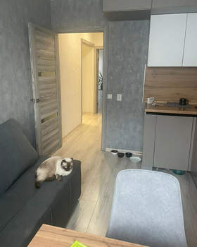 1-к квартира, вторичка, 40м2, 8/9 этаж
