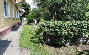2-к квартира, вторичка, 40м2, 2/2 этаж