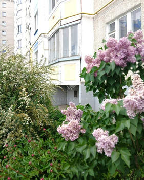 1-к квартира, вторичка, 45м2, 1/9 этаж