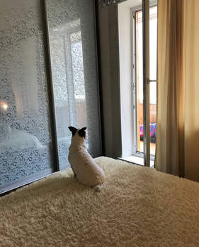 2-к квартира, вторичка, 60м2, 8/10 этаж